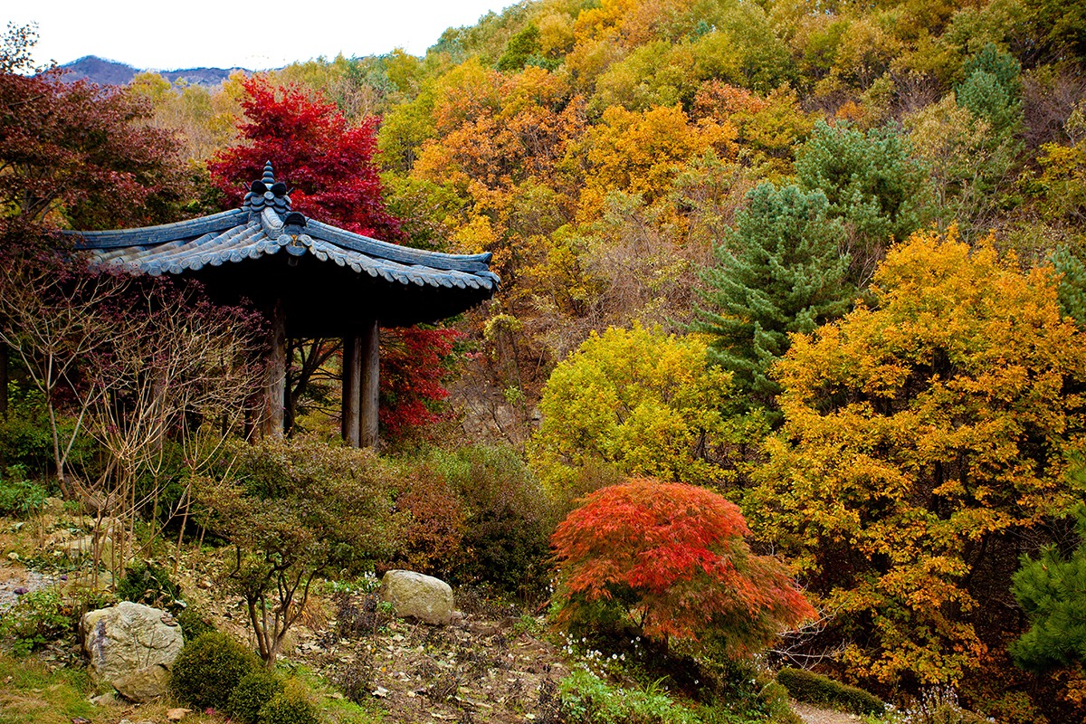 Autumn Activities to Enjoy in Korea 🍁